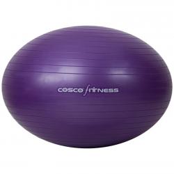 What is Gym Ball 55cm price offer
